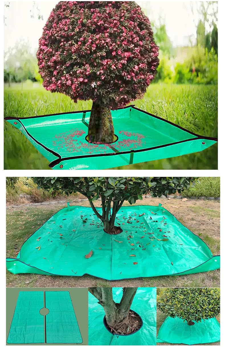 Bamboo's Lokii easy-clean design supports reuse after pruning projects.