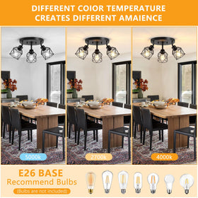 Baocuz adjustable-directional ceiling light with 360-degree rotation for flexible room lighting.