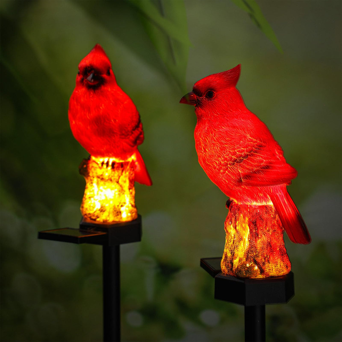 Baquler cardinal solar light red bird garden stake glowing at dusk