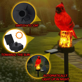 Baquler cardinal solar light red bird stake installed in flower bed