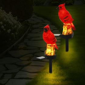 Baquler cardinal solar light red bird stake lighting a garden path