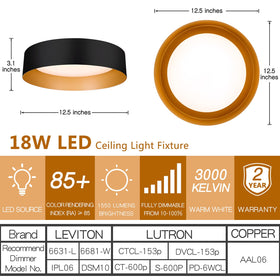 Bargeni dimmable ceiling light offers adjustable brightness for living spaces.