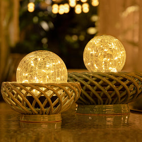 Beautyard lights ideal for holiday yard accents with warm illumination.