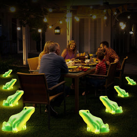 BeHiller solar garden frog lights offer charming accents with low energy use.