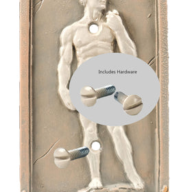 Bella Haus Design 3D David switch plate sparks conversation and style.