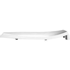Bemis 1955SSCT no-slam seat with stainless posts and pintles for quiet use.