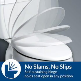 Bemis 790TDGSL whisper close system reduces slamming and noise in restrooms.