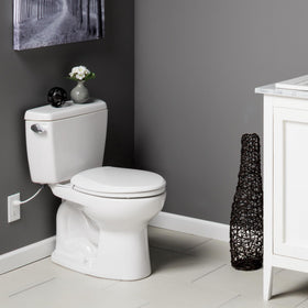 Bemis Radiance soft-close hinges for quiet, safe seat operation.