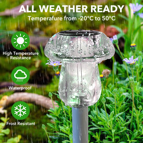 Benany outdoor lights enhance driveways, walkways, and patios with safe ambient glow.