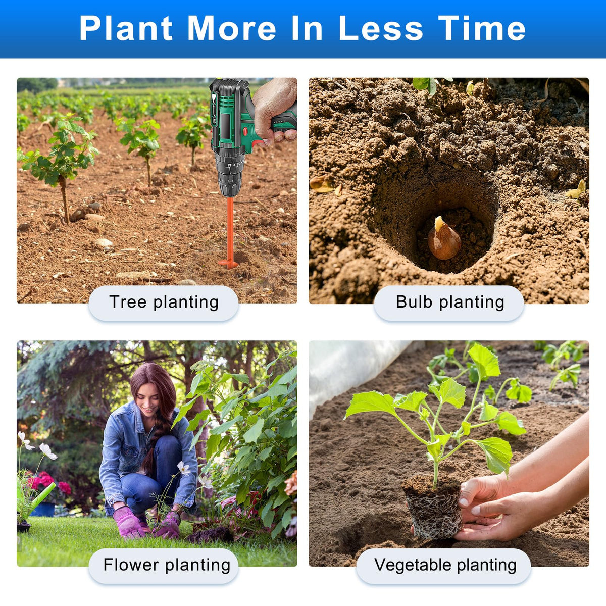 Versatile garden tool for bulbs, plants, and small trees