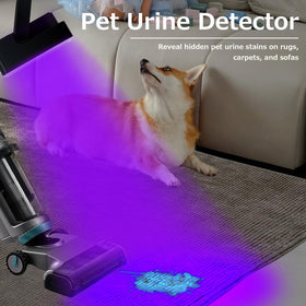 Benss 395nm UV light reveals scorpions and bed bugs during night inspections.