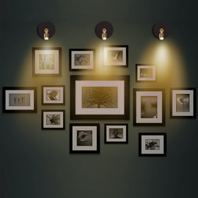 BERGUSTCH art-display spotlight enhances paintings and portraits