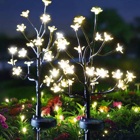 BERNGI solar garden lights outdoor waterproof illuminate pathways with soft ambient glow.