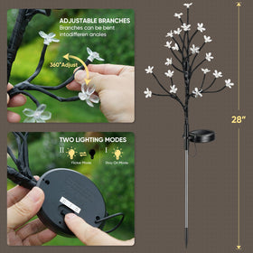 BERNGI lights always-on mode provide steady garden illumination.