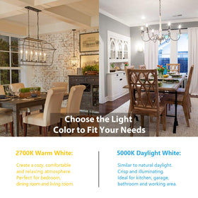 BesLowe 6W bulbs replace 60W incandescent, delivering efficient energy savings.