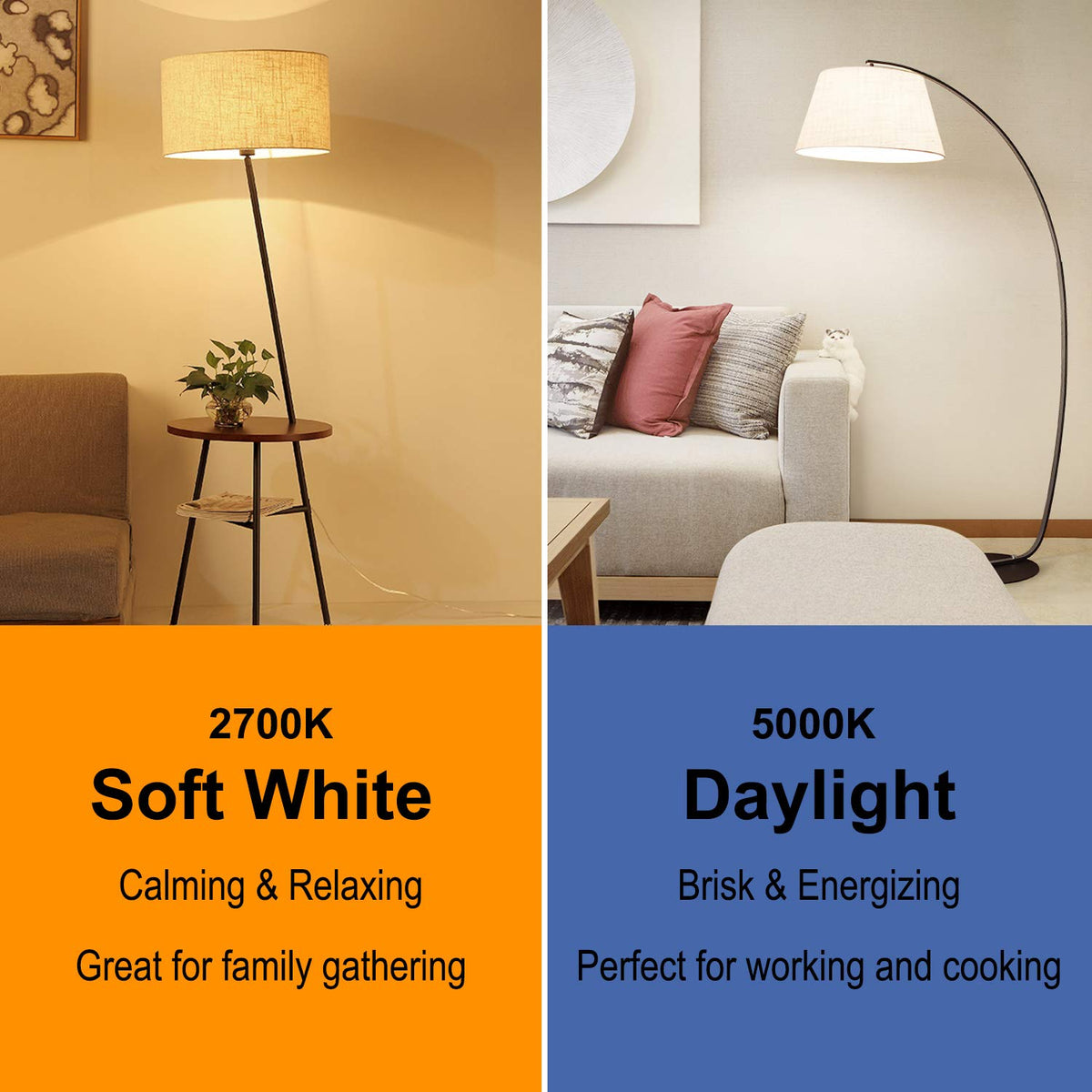 BesLowe Edison bulbs ideal for office spaces with steady brightness.