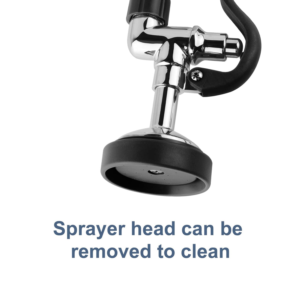 Removable sprayer head allows easy maintenance