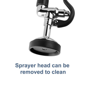 Removable sprayer head allows easy maintenance