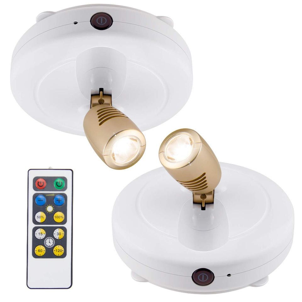 BIGLIGHT Spotlight front view with compact battery-powered puck light for accent lighting.