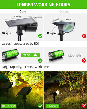 Biling Solar Spot Lights light the driveway for clear visibility after dark.