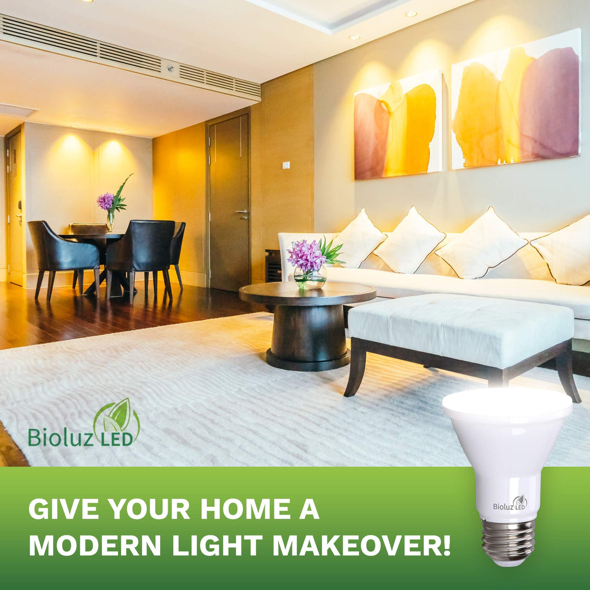Bioluz LED PAR20 3000K warm white dimmable bulb ideal for living rooms.