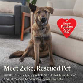 Bissell CrossWave HydroSteam pet-foundation-support highlights brand mission