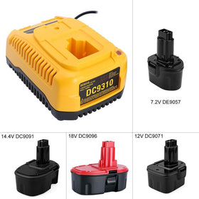 Biswaye DC9310 charger side ports demonstrating dual voltage input compatibility