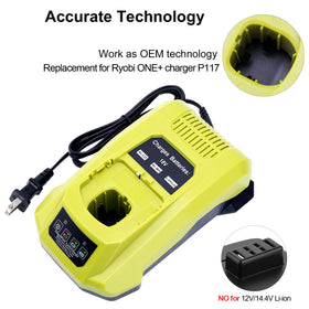 Biswaye P117 LED indicators guide charging and maintenance progress.