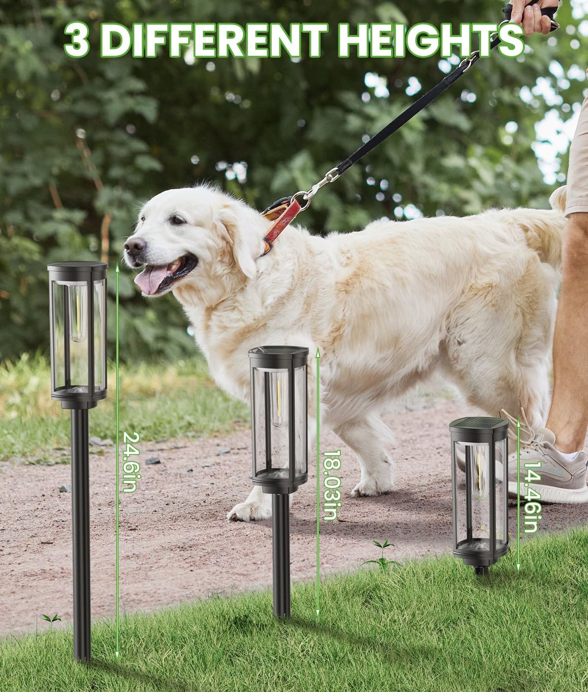 BITPOTT garden path lights provide gentle glow along walkways and patios