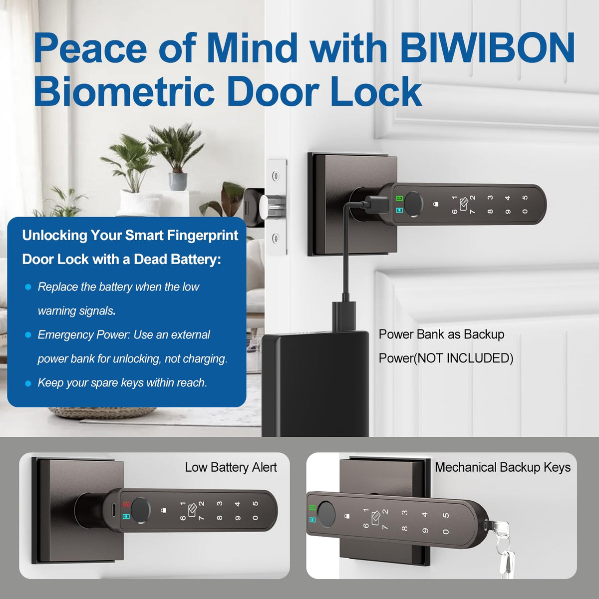 BIWIBON anti-peep keypad with random digits for PIN privacy