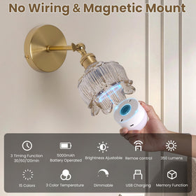 BlesULuk vintage sconce RGB modes, 13 lighting options for ambience.