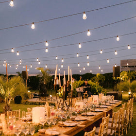 BLIATLUS ideal for garden and patio decor through seasons.