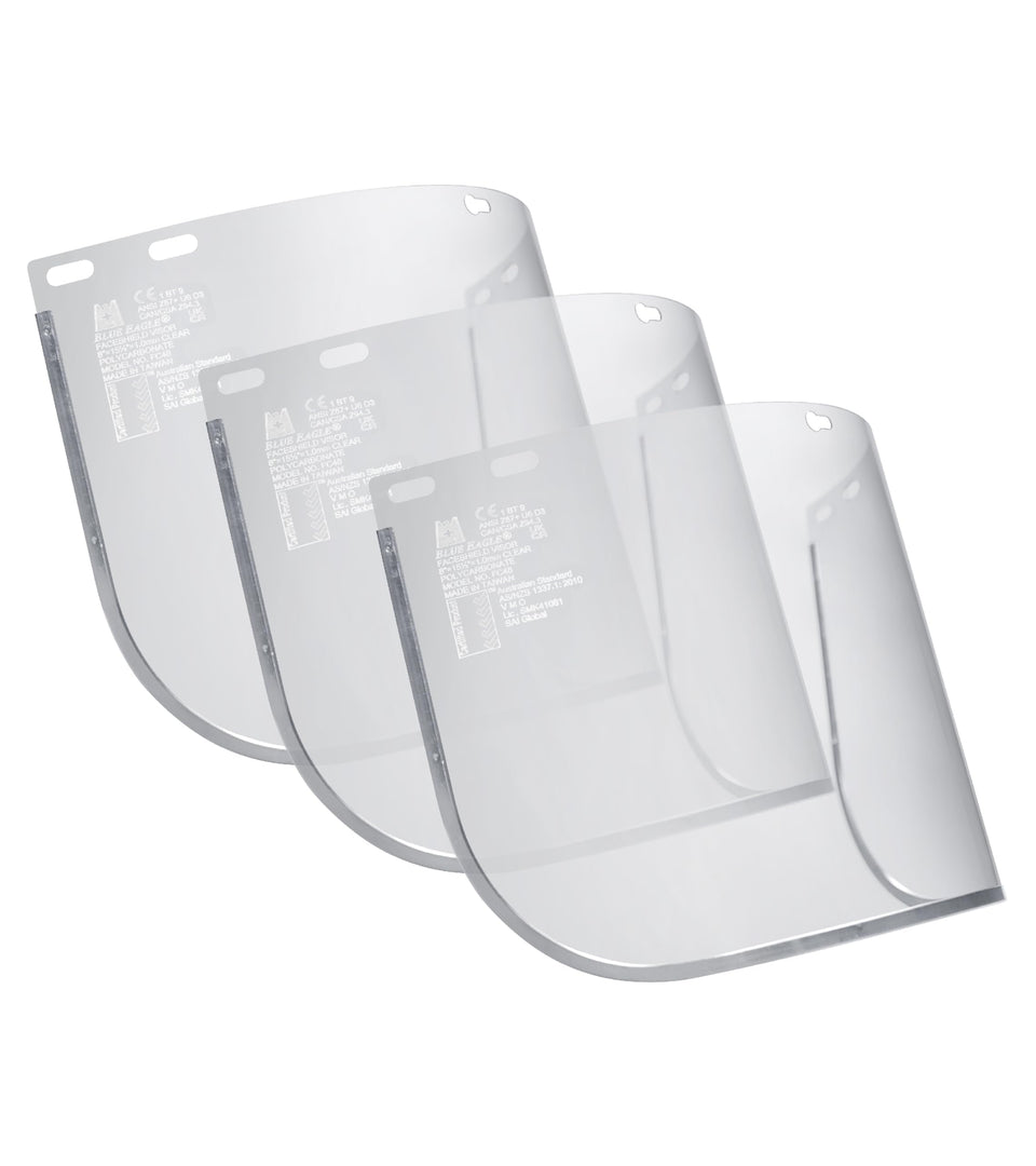 Blue Eagle FC48 faceshield visor, clear view for precise tasks.