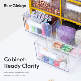 Blue Ginkgo Korean made cabinet fits office supplies and DIY bits