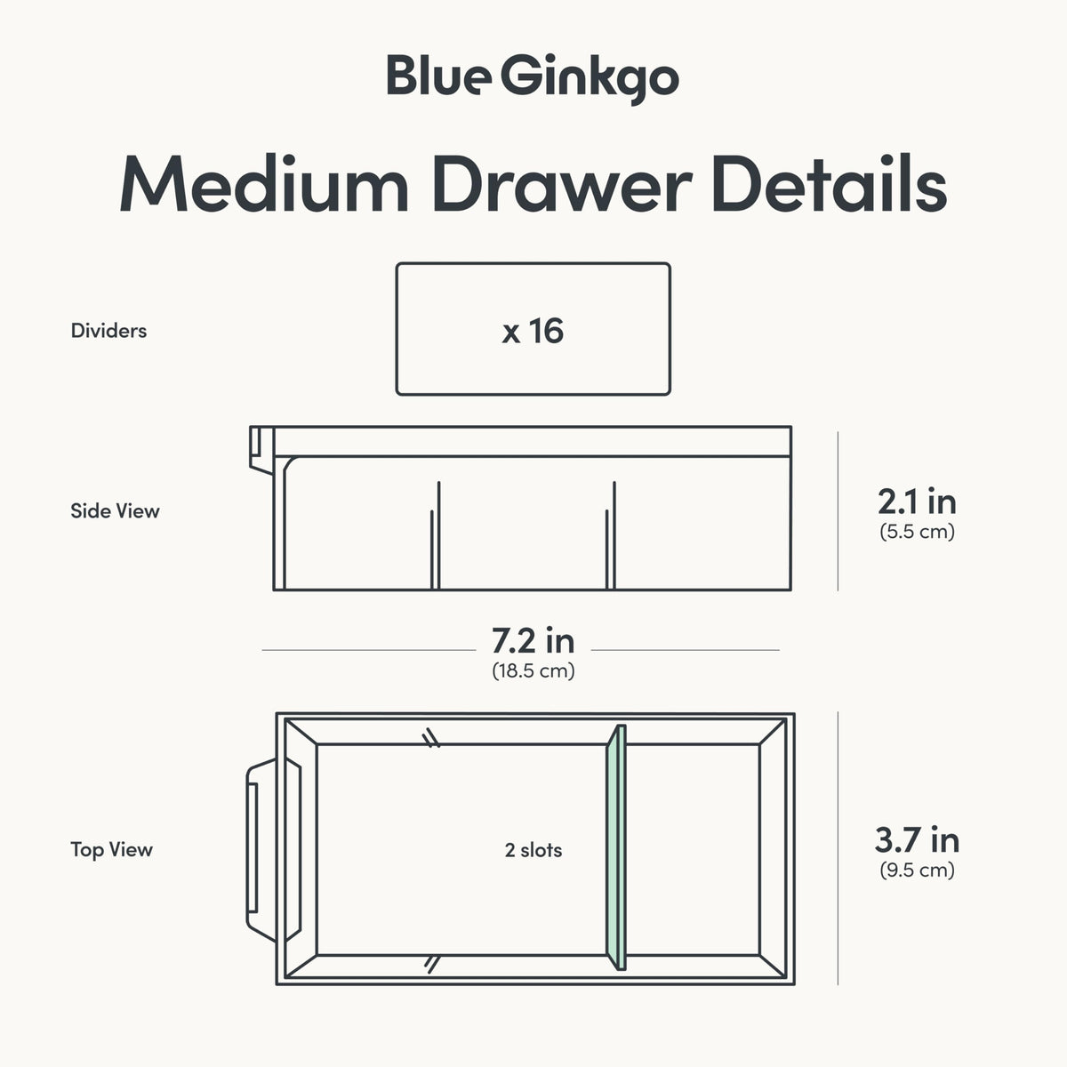 Blue Ginkgo labeled front helps identify contents at a glance.