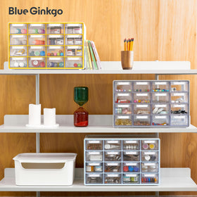 Blue Ginkgo office and craft storage idea for organized projects.