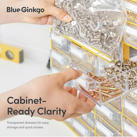Blue Ginkgo office supplies organizer keeps pens, clips, and small parts neatly visible.