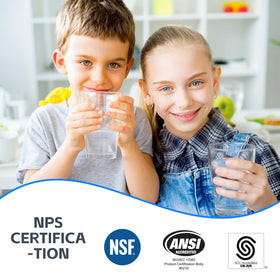 BLUERISE individual packaging highlights freshness and sanitization for each replacement filter.