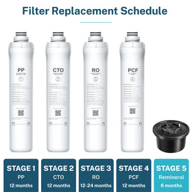 Bluevua filter lasts up to six months for consistent home use.