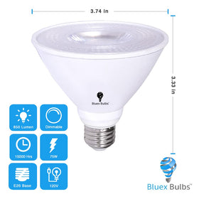 Bluex Bulbs outdoor security light at night improves visibility around entrances