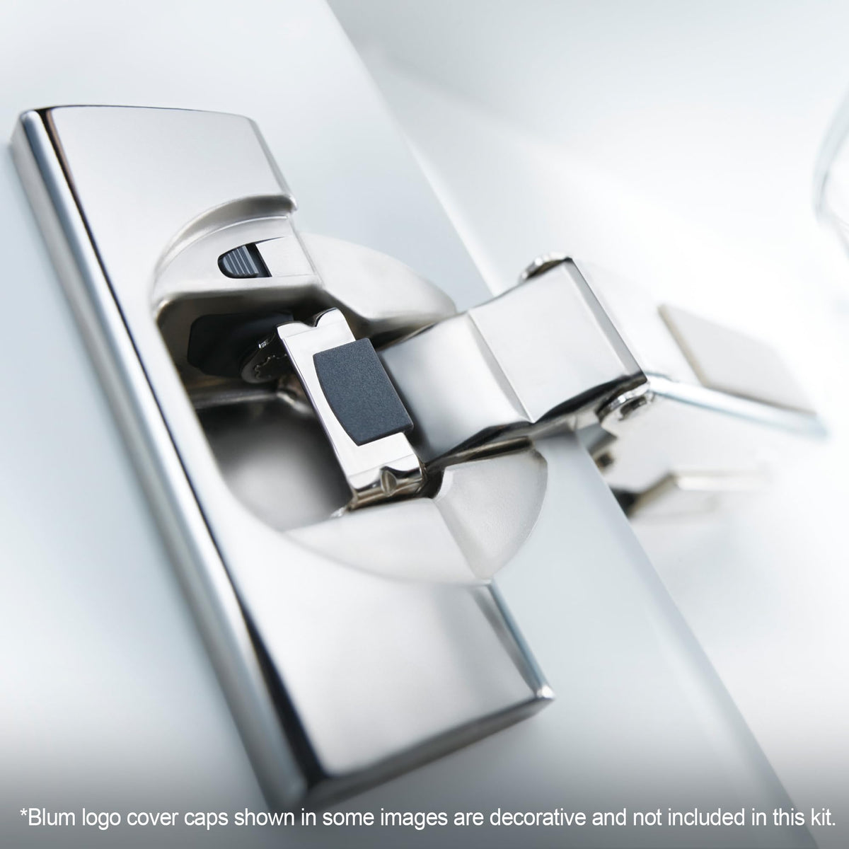 Clip mounting plates included with Blum hinges enabling quick door attachment.