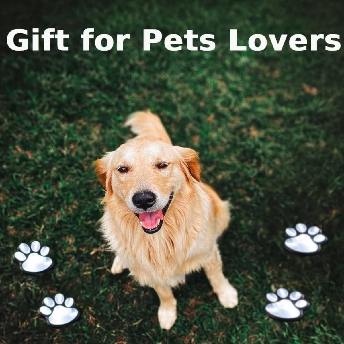 Blunem paw print solar light makes a thoughtful gift for pet lovers.