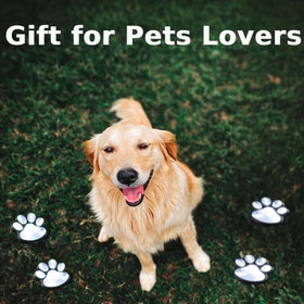 Blunem paw print solar light makes a thoughtful gift for pet lovers.