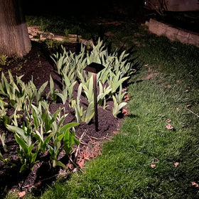 Bobcat Lighting 4-pack pathway light set enables flexible layout along paths