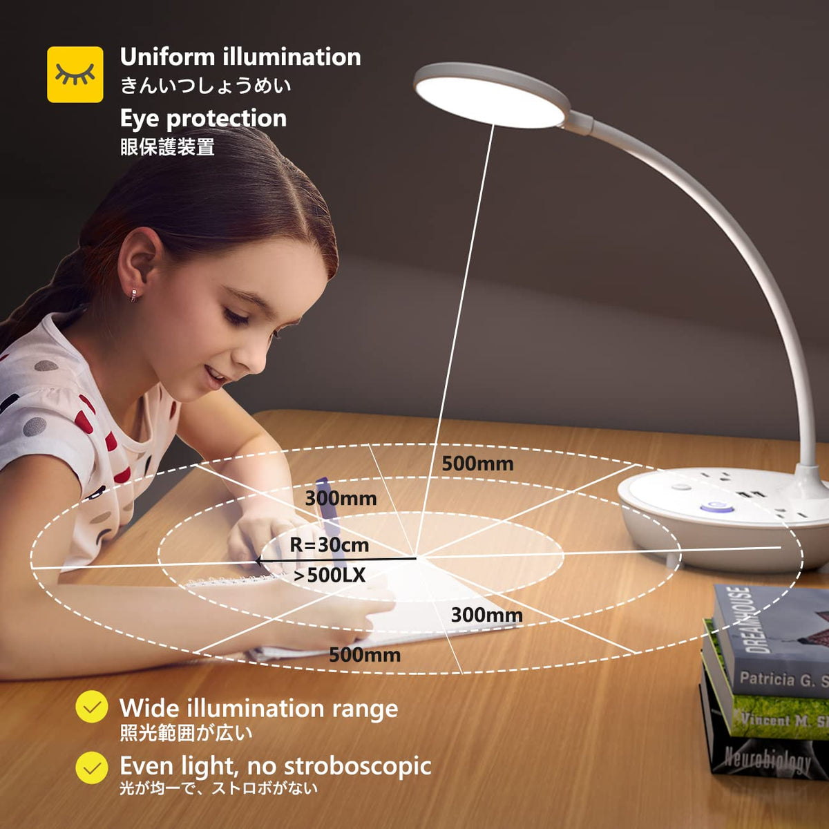 Bodun weighted base keeps the lamp stable on busy desks.