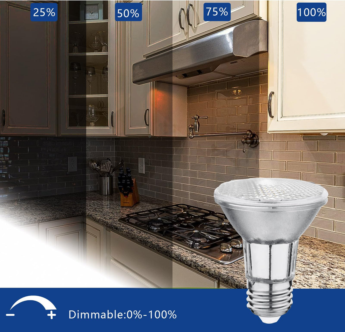 BOGAO PAR20 LED with E26 base works on 120V circuits and dimmers.