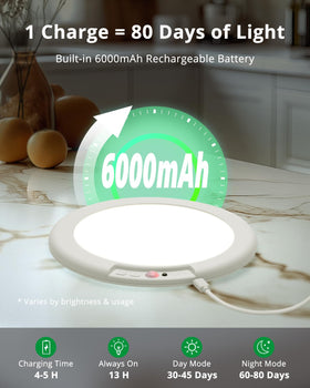 Bojim motion sensor ceiling light detects movement up to 13 feet.