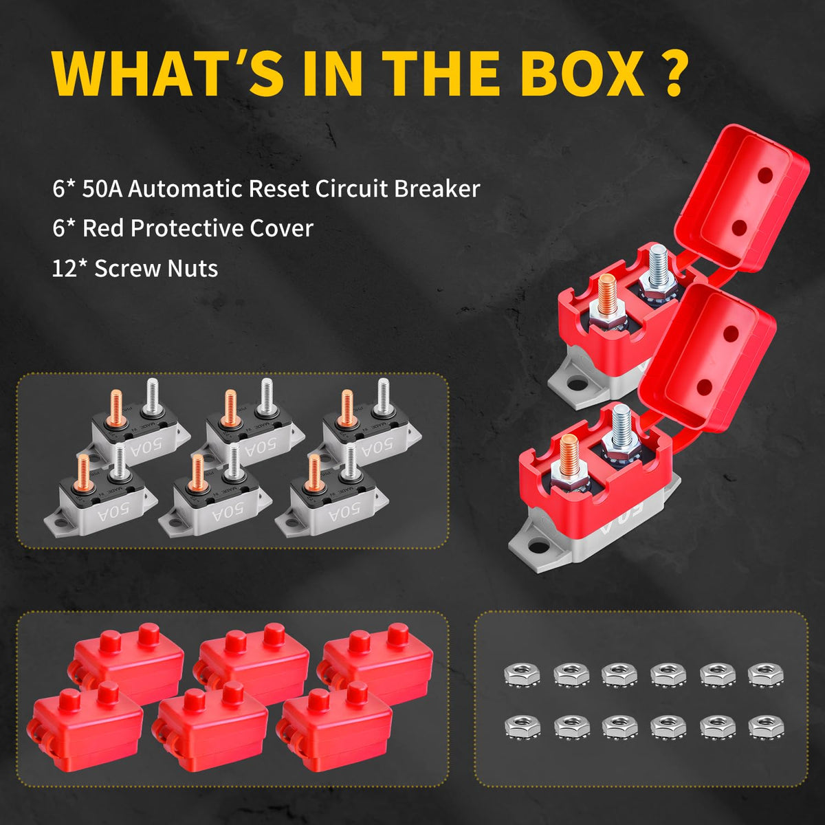 Bolipoeq six-pack shows value for protecting multiple circuits in vehicles and boats.