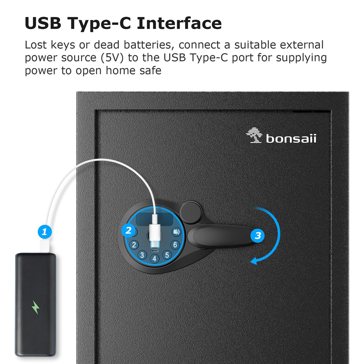 Bonsaii safe box interior dimensions showcasing storage space