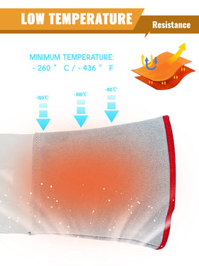 Bonvoisin liquid nitrogen gloves designed for safe handling in cryogenic labs.